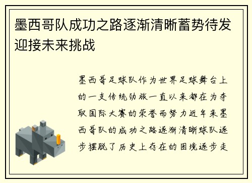 墨西哥队成功之路逐渐清晰蓄势待发迎接未来挑战