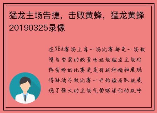 猛龙主场告捷,击败黄蜂,猛龙黄蜂20190325录像